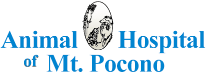 Animal Hospital of Mt. Pocono